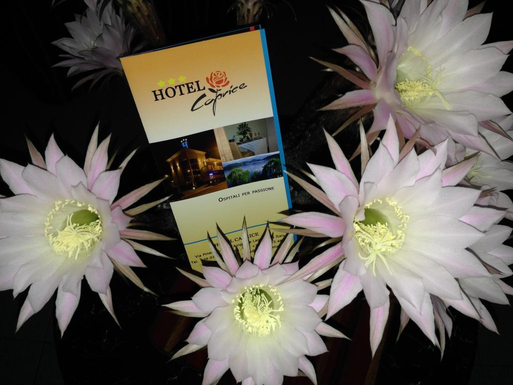 Hotel Caprice Avigliana Exteriér fotografie
